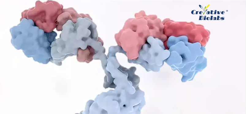 Creative Biolabs